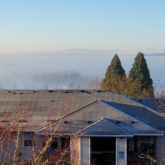 Meet your Posher, Claire - Picture 4 of 5